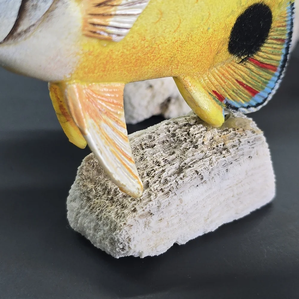 4 Hand Carved Hand Painted Tropical Fish on Real Coral Base 6
